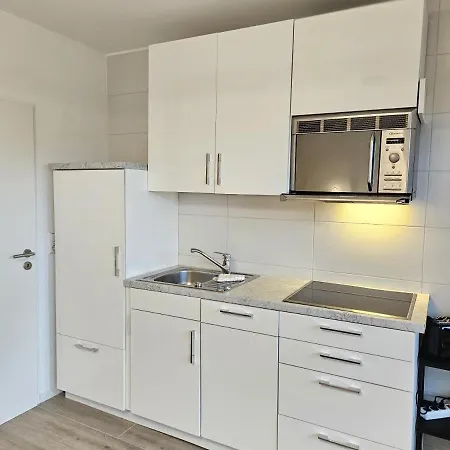 Apartament Flechtner *